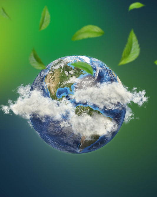 Earth Day, Conscious Choices & Why We Choose Cotton