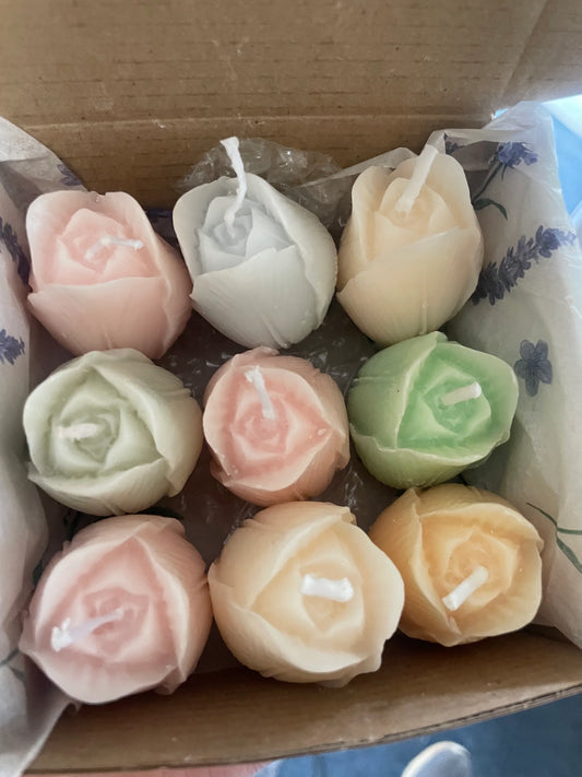 Mixed Tulip Box
