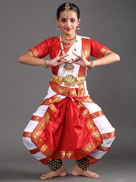 Bharatanatyam Dance Costume