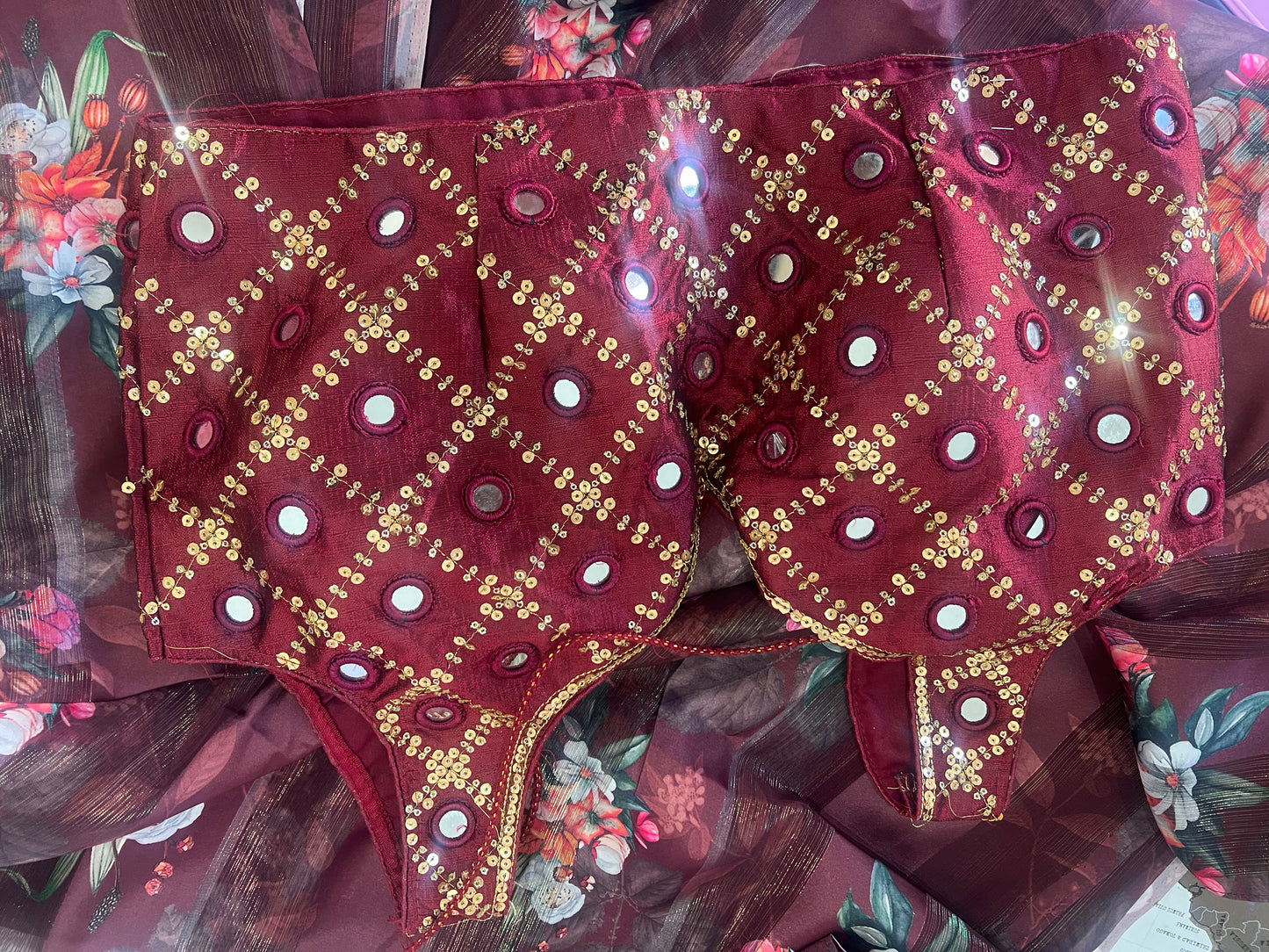 Sari with Blouse